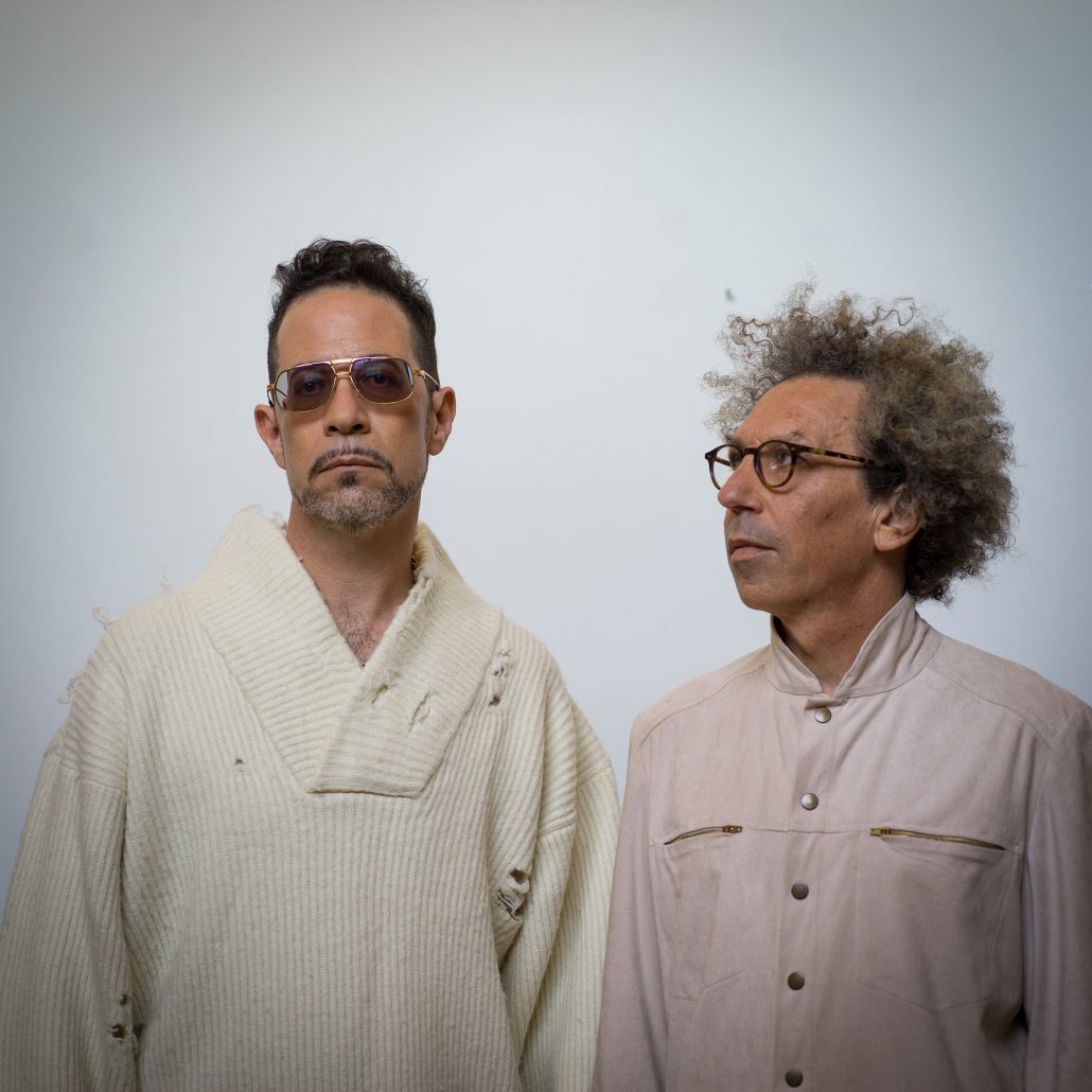 צילום מיכל חלבין -ג'ירפות